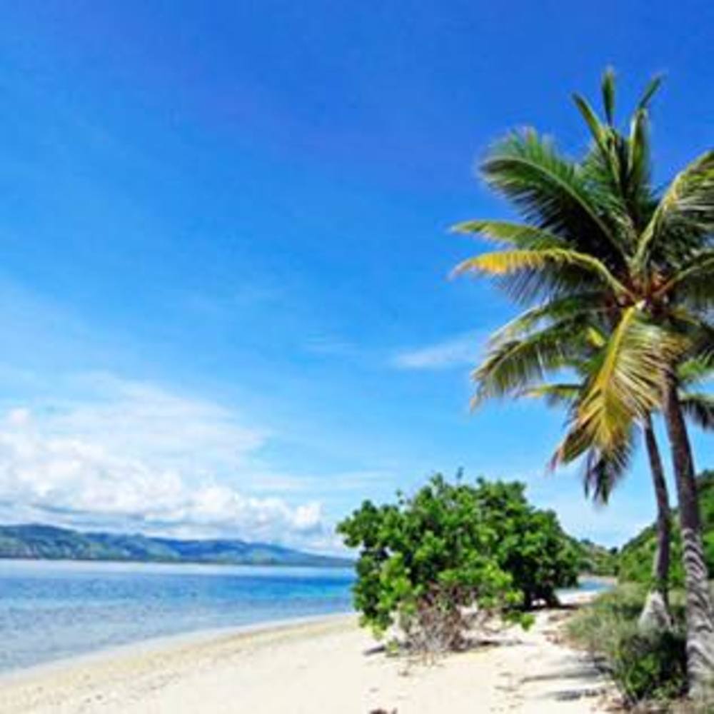 Meet your Posher, June